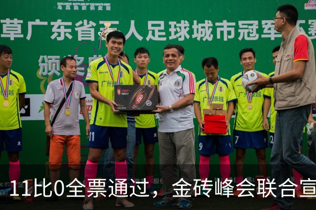 11比0全票通过，金砖峰会联合宣言，专门帮巴勒斯坦讨了个公道